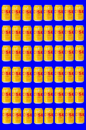 48 Cisk Lager-Bier in der Dose, 0,33l