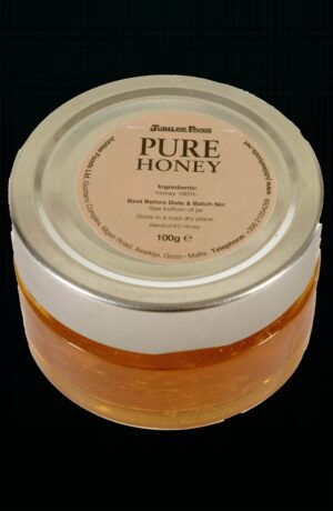 Bienenhonig Pure Honey 100g