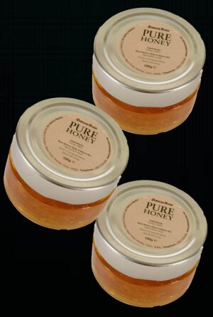 Bienenhonig Pure Honey, 3 Gläser