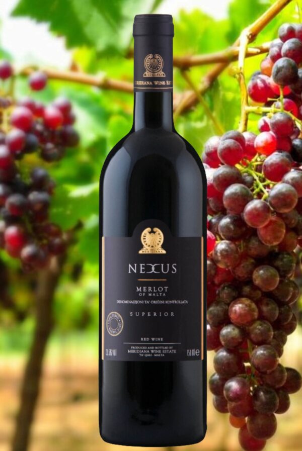 Rotwein Nexus 2021 (Meridiana)