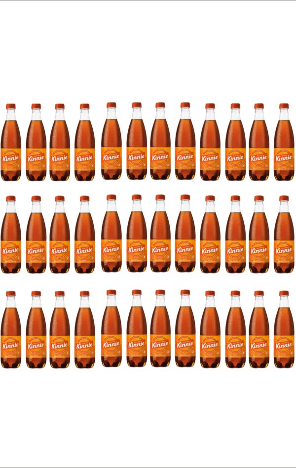 36 Kinnie in der Pet-Flasche 0,5l – Bild 2