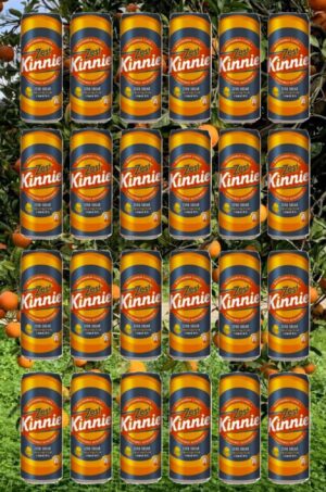 24 Kinnie Zest in der Dose 0,33l