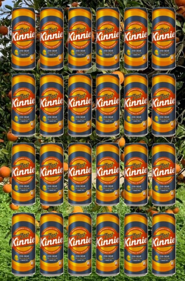 24 Kinnie Zest in der Dose 0,33l