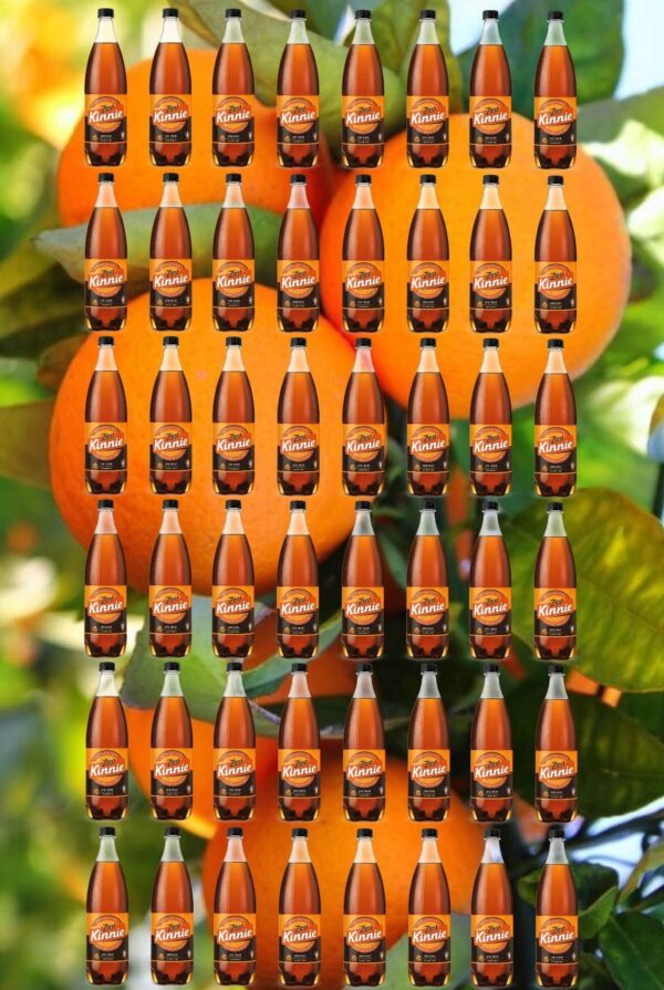 48 Kinnie Zest in der Pet-Flasche 0,5l