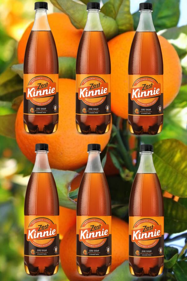 6 Kinnie Zest in der Pet-Flasche 0,5l