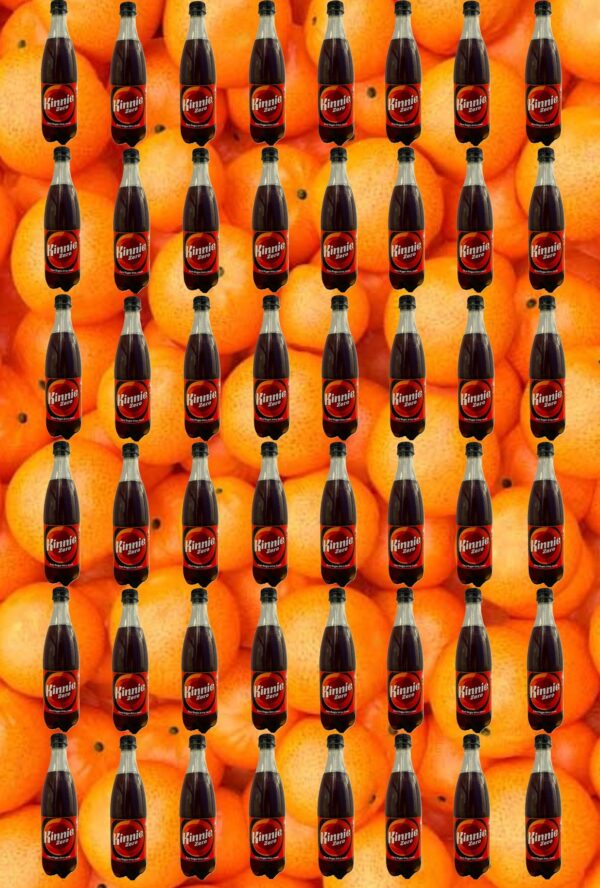 48 Kinnie Zero in der Pet-Flasche 0,5l