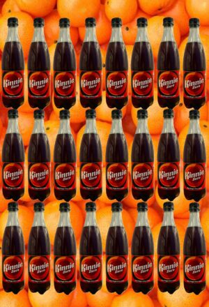 24 Kinnie Zero in der Pet-Flasche 0,5l