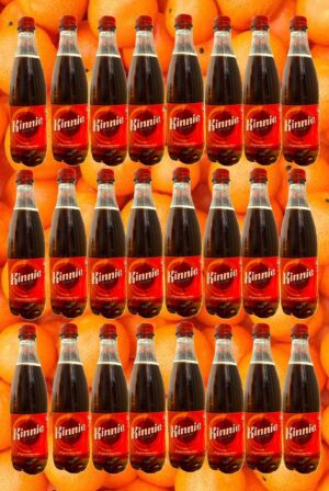 24 Kinnie in der Pet-Flasche 0,5l