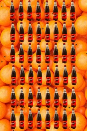48 Kinnie in der Pet-Flasche 0,5l