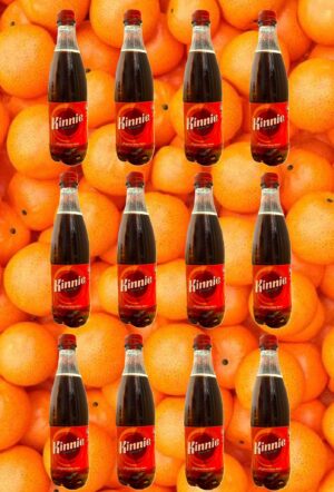 12 Kinnie in der Pet-Flasche 0,5l